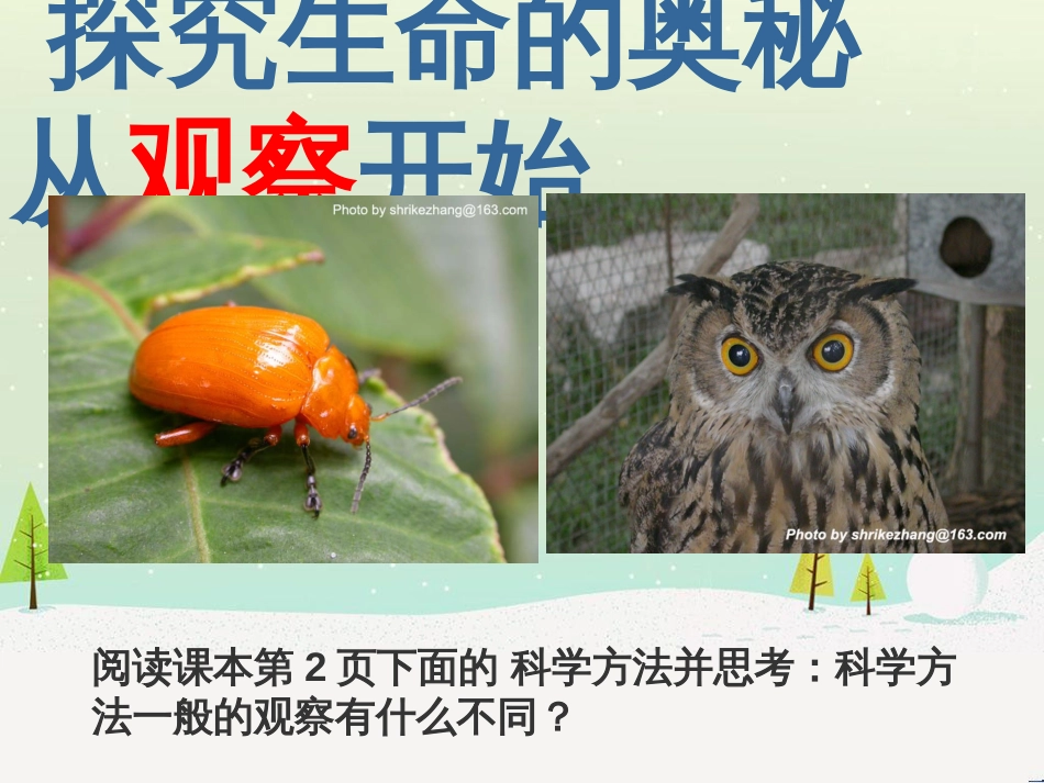 八年级物理上册 1.3《活动降落伞比赛》课件 （新版）教科版 (267)_第2页