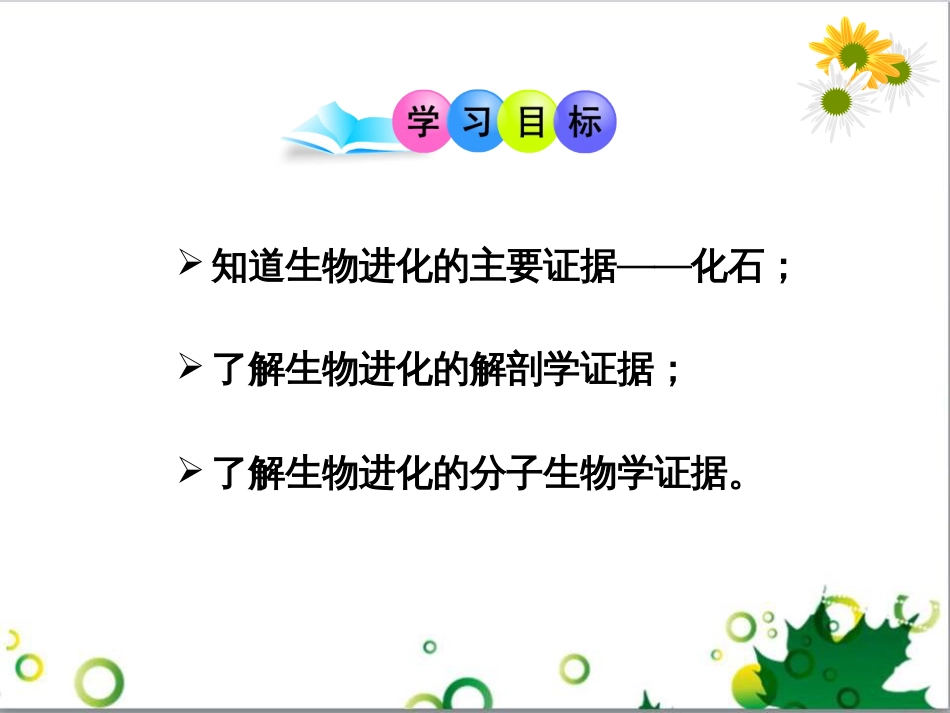 八年级生物下册 5.1.2 生物进化的证据课件 济南版_第2页