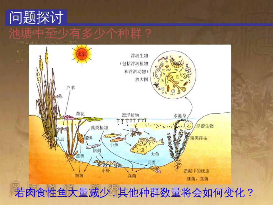 高中生物 第五章 基因突变及其他变异 5.3 人类遗传病课件 新人教版必修2 (89)_第2页