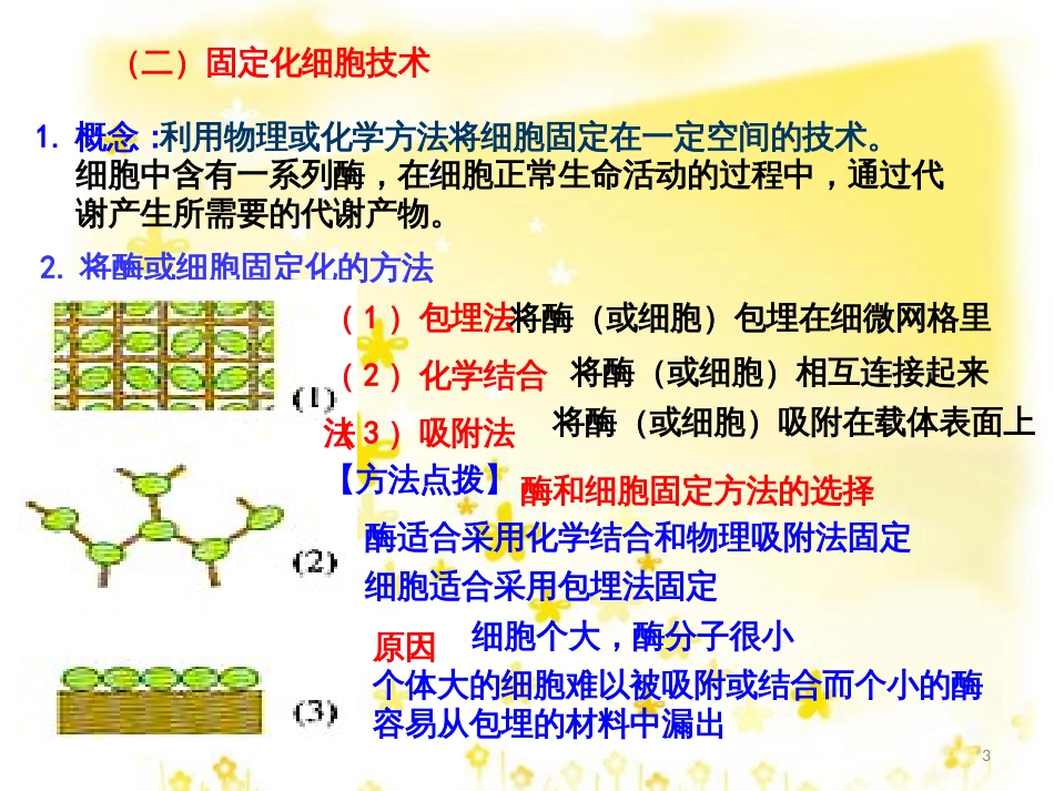 高中生物 专题4 酶的研究与应用 课题3 酵母细胞的固定化课件 新人教版选修1_第3页