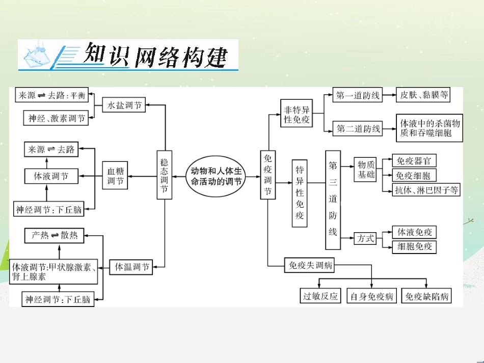 高考地理 技法点拨——气候 1 (611)_第2页