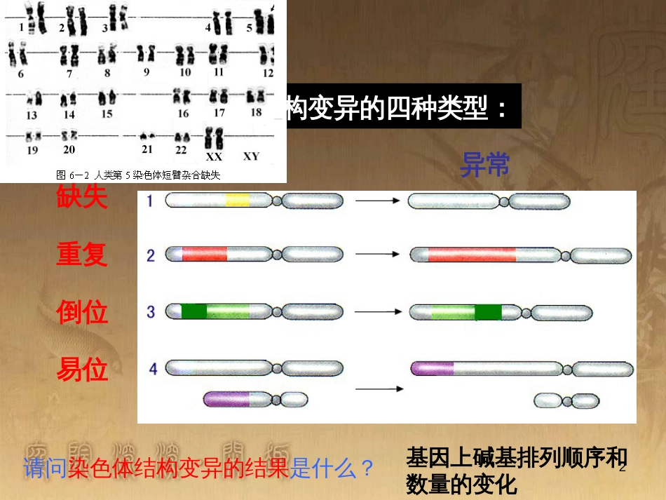 高中生物 第五章 基因突变及其他变异 5.3 人类遗传病课件 新人教版必修2 (91)_第2页