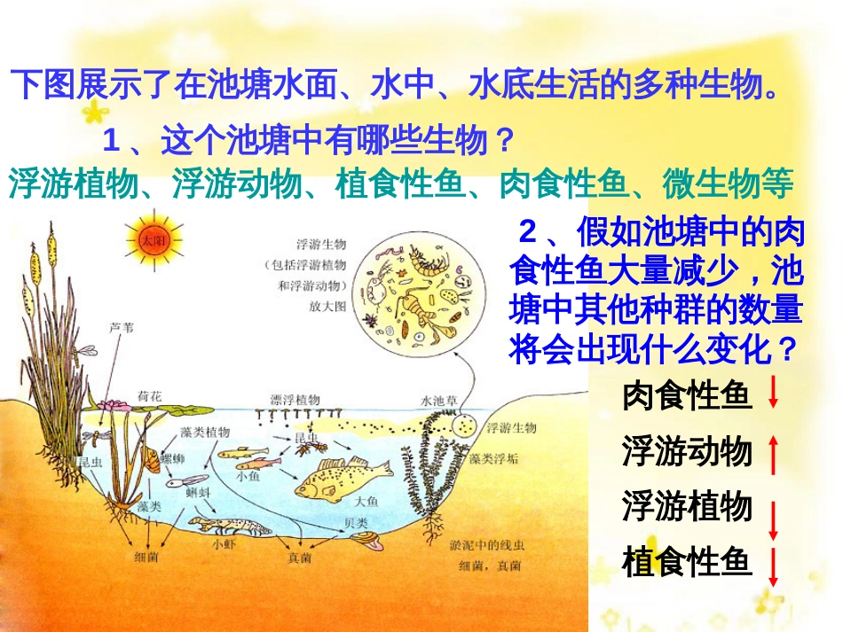 高中生物 第四章 种群和群落 4.3 群落的结构教学课件 新人教版必修3_第3页