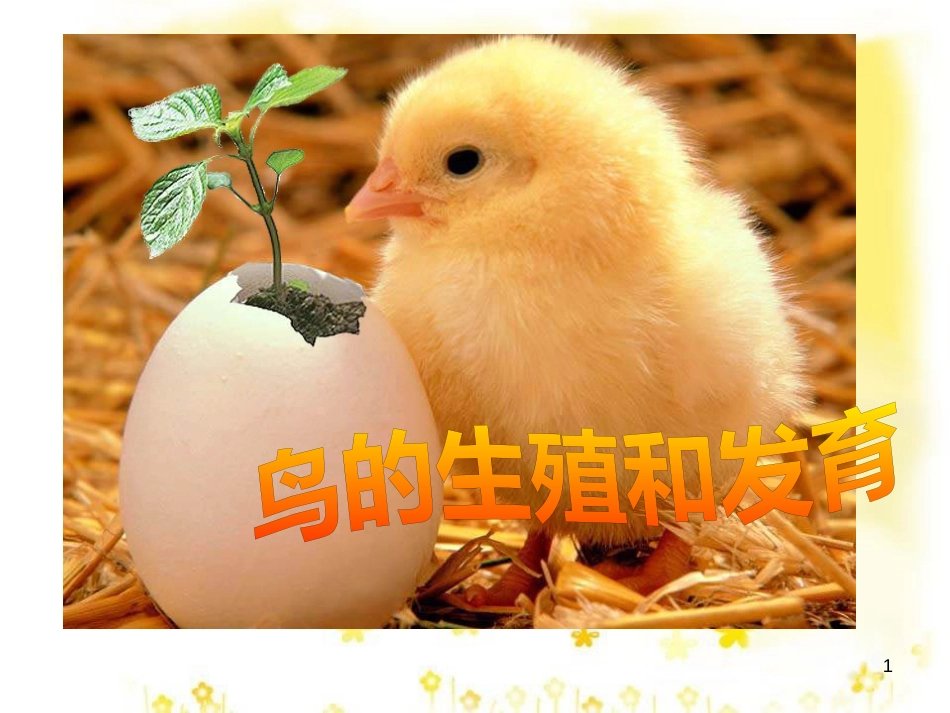八年级生物下册 第七单元 第一章 第四节 鸟的生殖和发育课件 （新版）新人教版_第1页