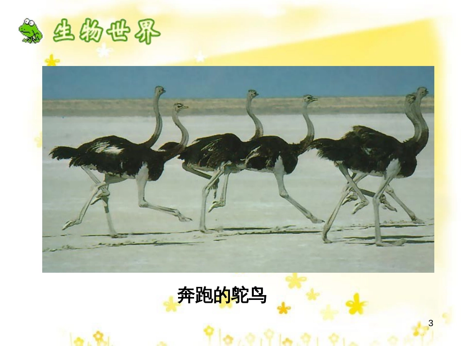 八年级生物下册 第七单元 第一章 第四节 鸟的生殖和发育课件 （新版）新人教版_第3页