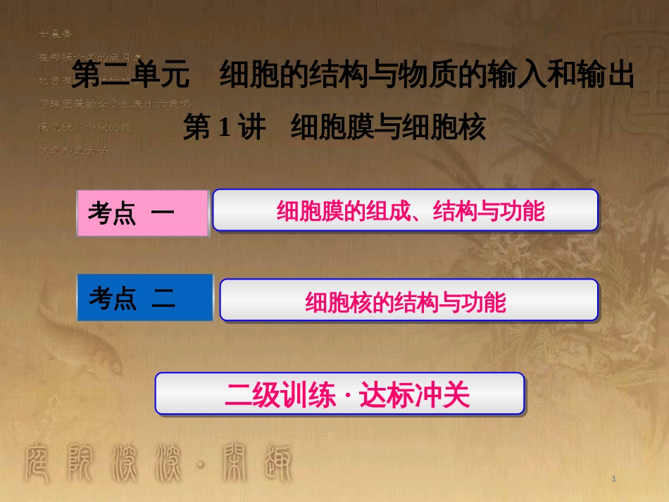 高考生物一轮复习 第二单元 基因的本质与表达 第1讲 DNA是主要的遗传物质课件（必修2） (43)_第1页