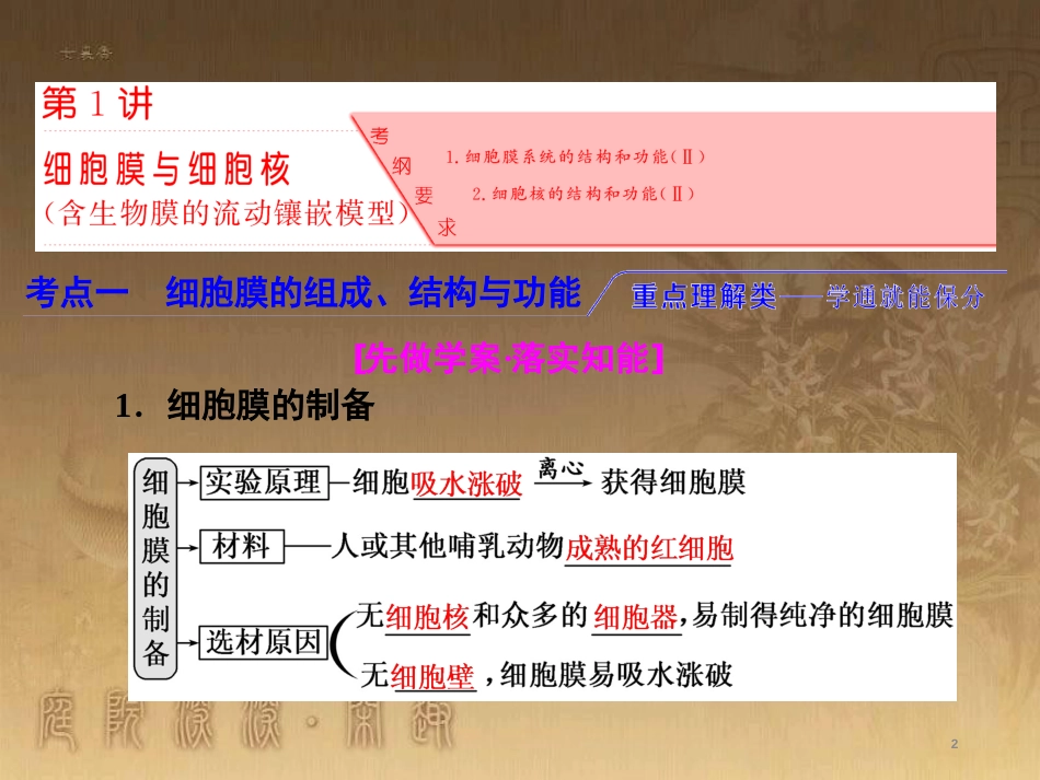 高考生物一轮复习 第二单元 基因的本质与表达 第1讲 DNA是主要的遗传物质课件（必修2） (43)_第2页