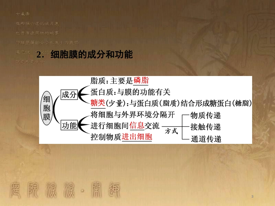 高考生物一轮复习 第二单元 基因的本质与表达 第1讲 DNA是主要的遗传物质课件（必修2） (43)_第3页