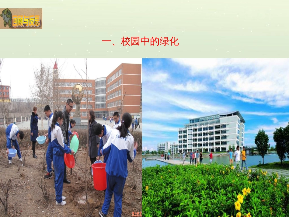 八年级生物下册 13.1 生物的分类课件1 北京版 (916)_第2页