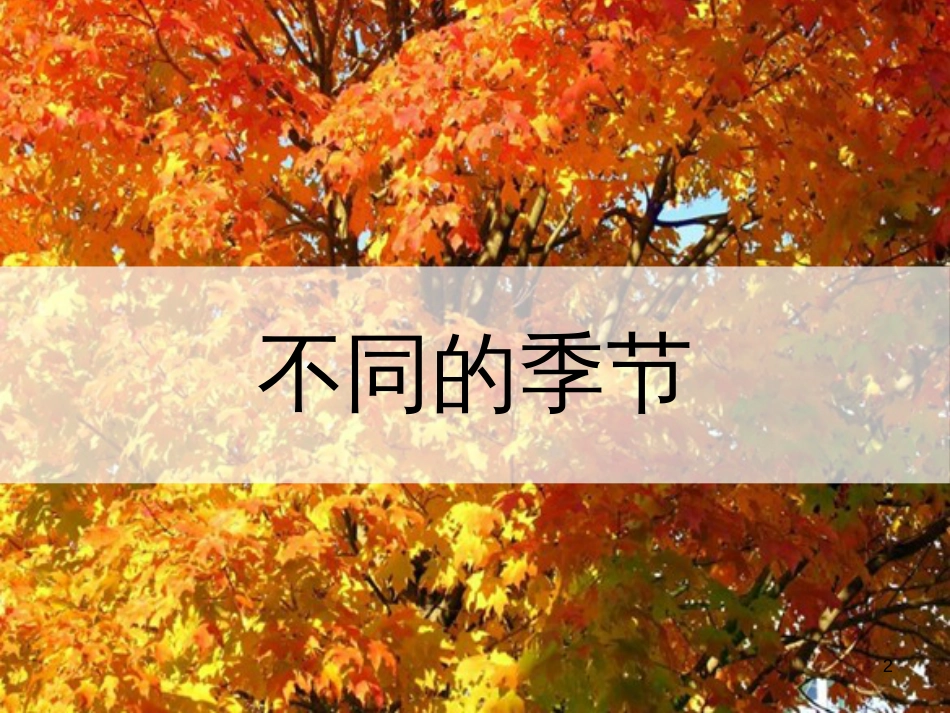 二年级科学上册 1.6《不同的季节》课件1 教科版_第2页