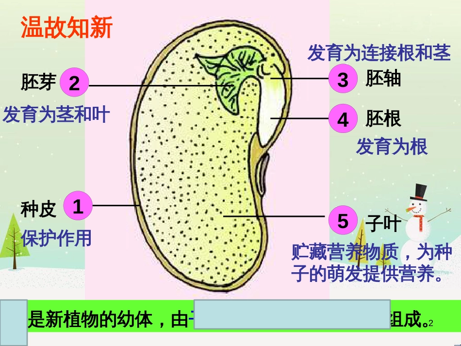八年级物理上册 1.3《活动降落伞比赛》课件 （新版）教科版 (215)_第2页