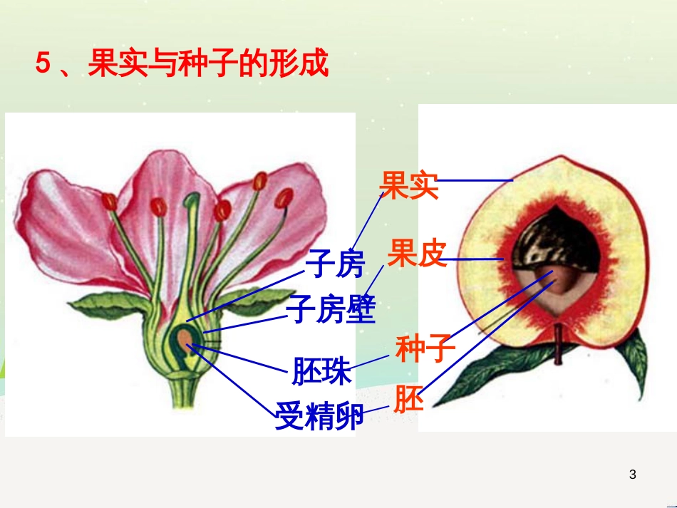 八年级物理上册 1.3《活动降落伞比赛》课件 （新版）教科版 (204)_第3页