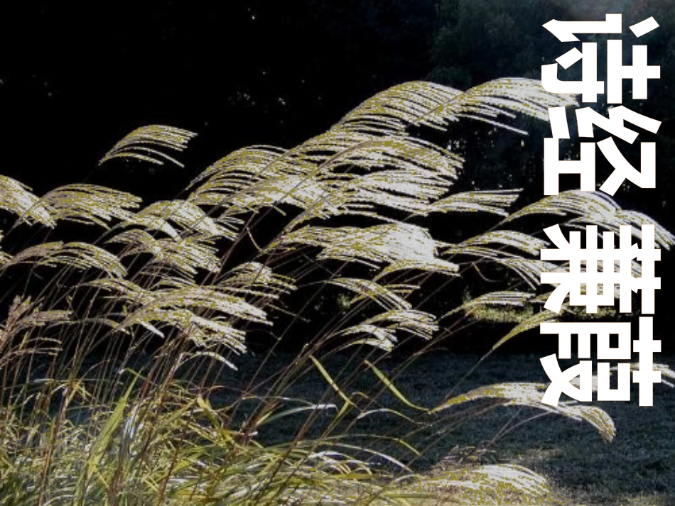 八年级物理上册 1.3《活动降落伞比赛》课件 （新版）教科版 (397)_第1页