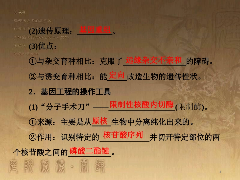 高考生物一轮复习 第二单元 基因的本质与表达 第1讲 DNA是主要的遗传物质课件（必修2） (5)_第3页
