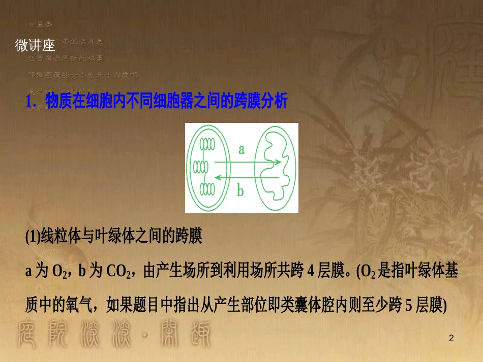 高考生物一轮复习 第八单元 生命活动的调节 第二讲 通过神经系统的调节课件 新人教版 (119)_第2页