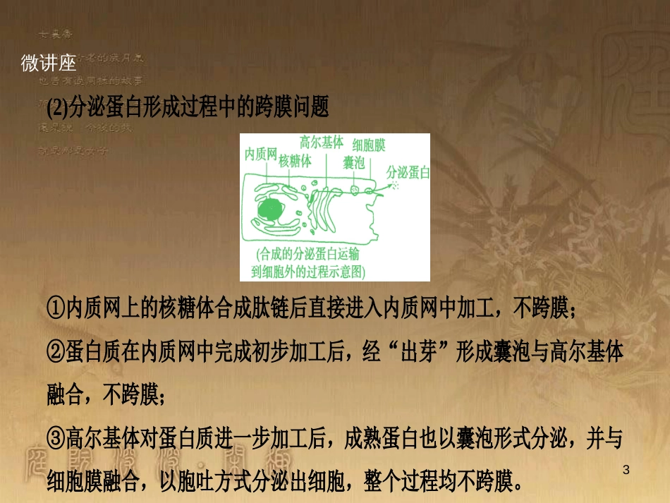 高考生物一轮复习 第八单元 生命活动的调节 第二讲 通过神经系统的调节课件 新人教版 (119)_第3页
