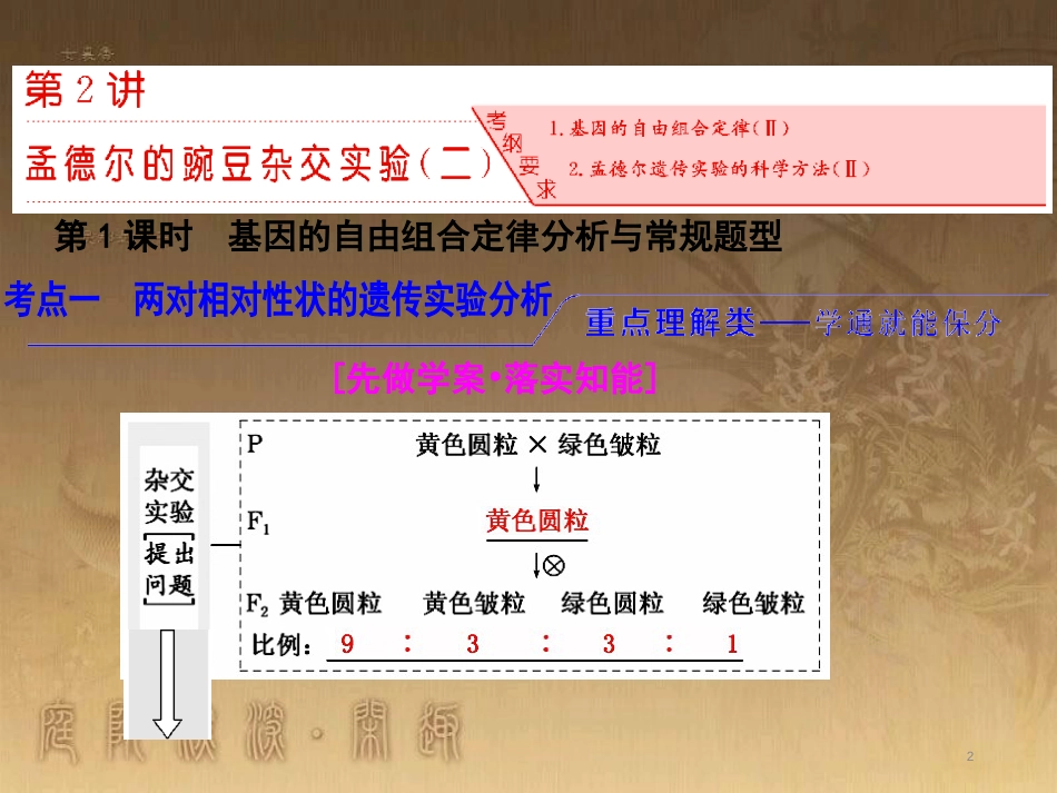 高考生物一轮复习 第二单元 基因的本质与表达 第1讲 DNA是主要的遗传物质课件（必修2） (12)_第2页