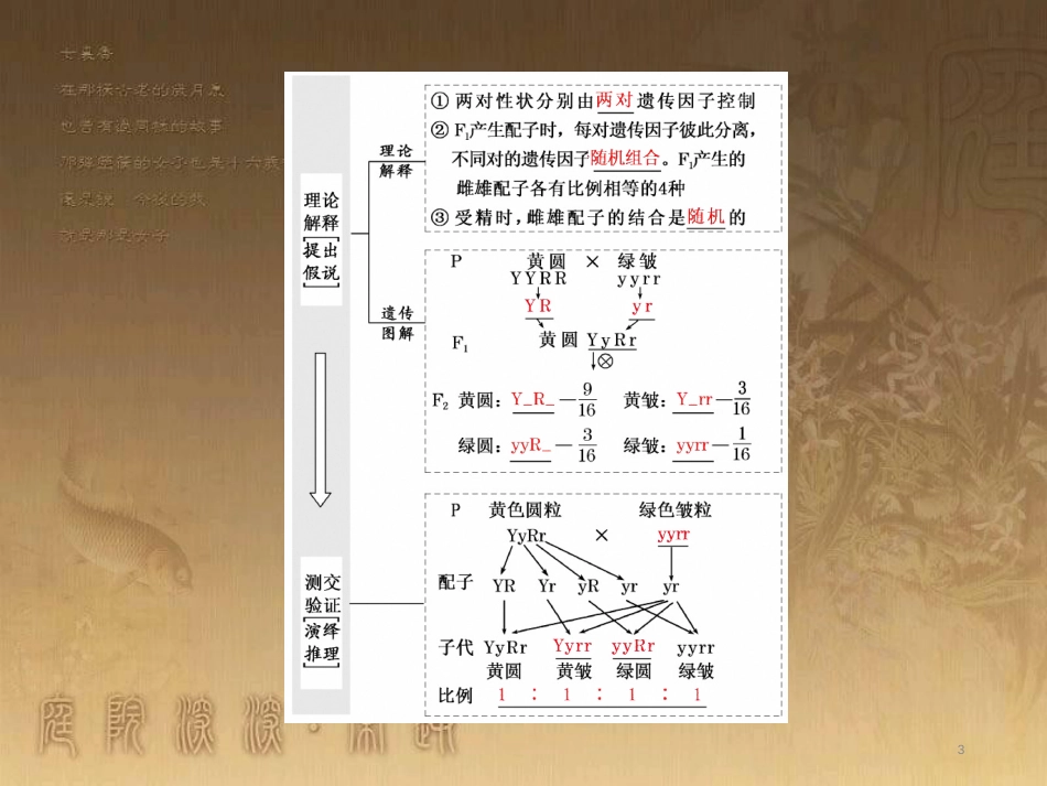 高考生物一轮复习 第二单元 基因的本质与表达 第1讲 DNA是主要的遗传物质课件（必修2） (12)_第3页