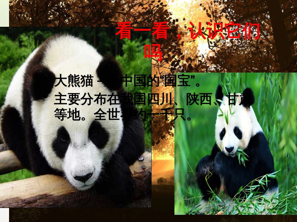 八年级生物下册 13.1 生物的分类课件1 北京版 (652)_第2页