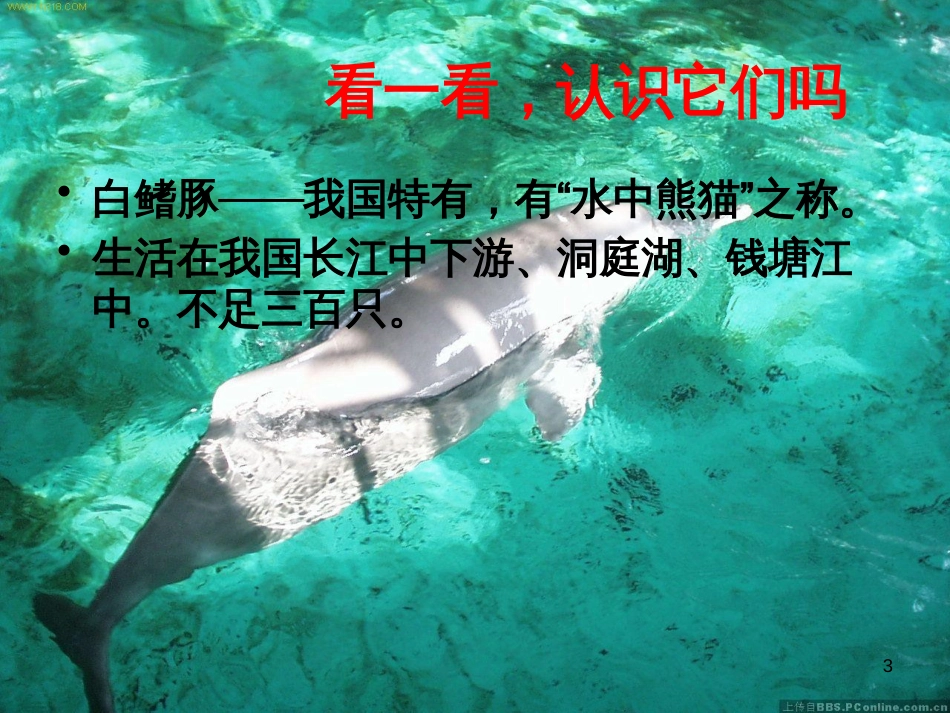 八年级生物下册 13.1 生物的分类课件1 北京版 (652)_第3页