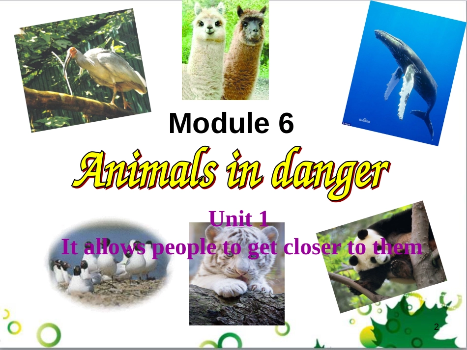 八年级英语上册 Module 12 Help主题写作课件 （新版）外研版 (574)_第2页