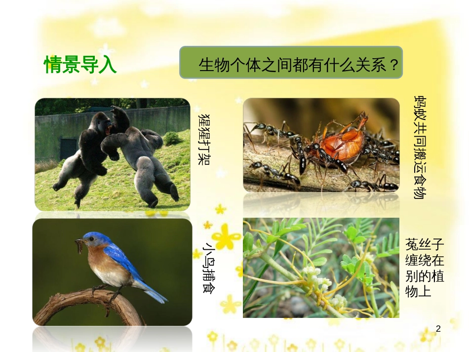 八年级生物下册 第七单元 第一章 第一节 环境对生物的影响课件2 （新版）冀教版_第2页