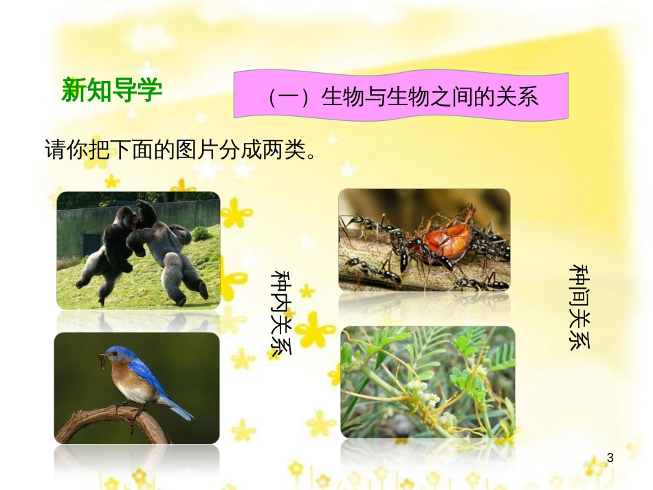 八年级生物下册 第七单元 第一章 第一节 环境对生物的影响课件2 （新版）冀教版_第3页