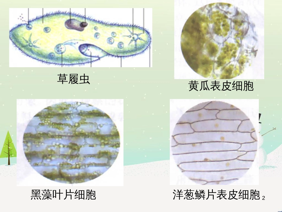 八年级物理上册 1.3《活动降落伞比赛》课件 （新版）教科版 (259)_第2页