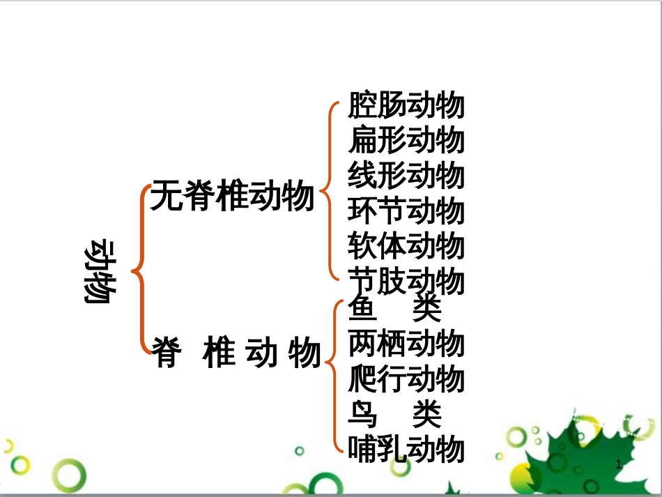 八年级生物上册 5.1 动物的主要类群复习课件1 （新版）新人教版_第1页