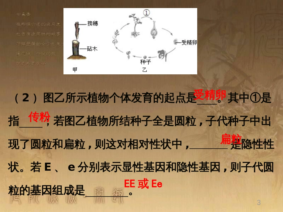 八年级生物下册 第二轮复习 生物圈中的人专题课件 新人教版 (23)_第3页