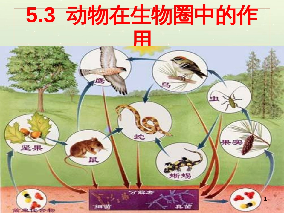 八年级生物上册 5.3动物在生物圈中的作用课件 （新版）新人教版_第1页