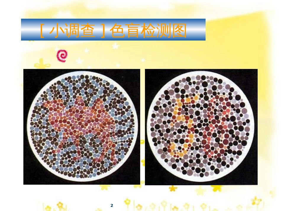 高中生物 第二章 基因和染色体的关系 2.3 伴性遗传课件 新人教版必修2_第2页