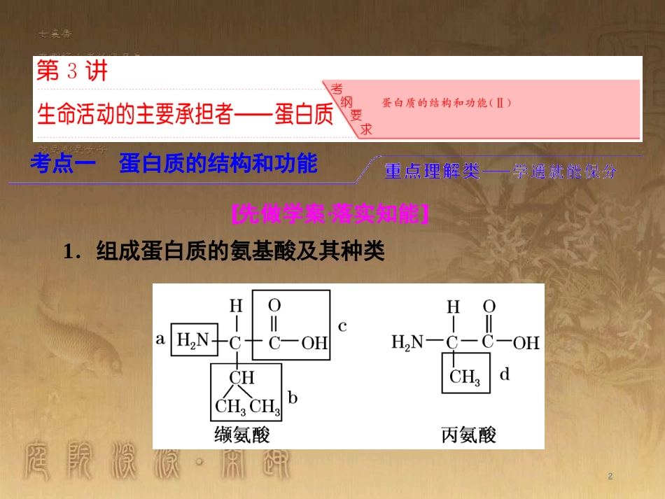 高考生物一轮复习 第二单元 基因的本质与表达 第1讲 DNA是主要的遗传物质课件（必修2） (15)_第2页