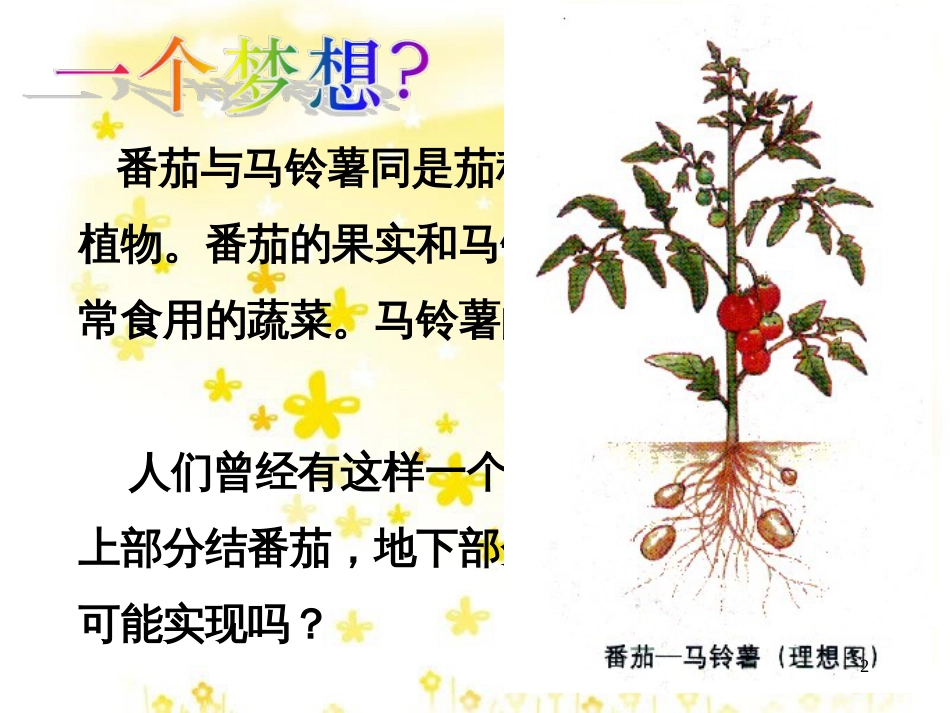 高中生物 专题2 细胞工程课件 新人教版选修3_第2页