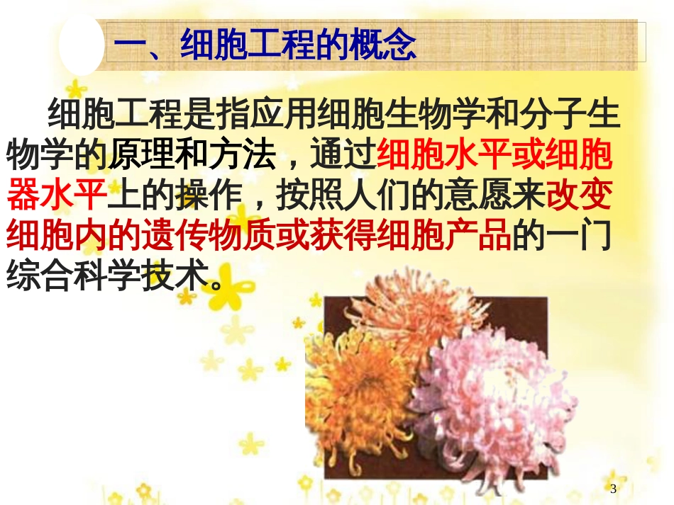 高中生物 专题2 细胞工程课件 新人教版选修3_第3页