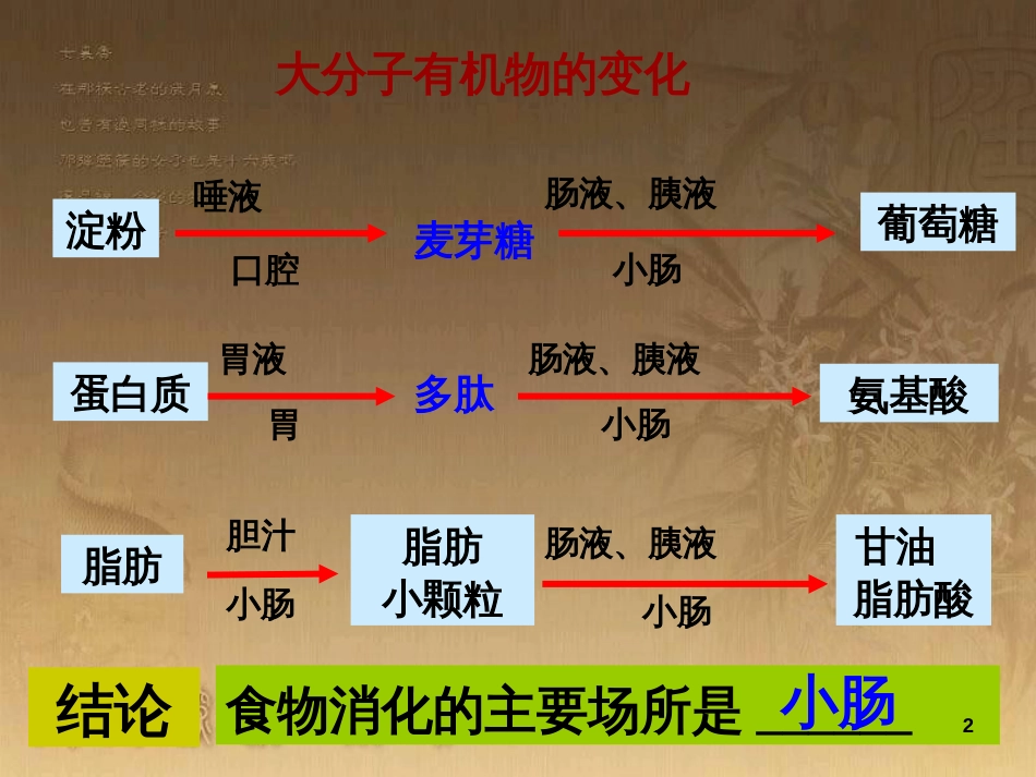 八年级生物下册 第二轮复习 生物圈中的人专题课件 新人教版 (19)_第2页