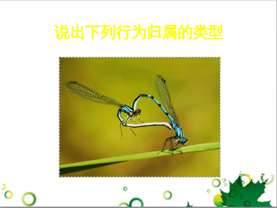 八年级生物上册 第16章 第1节 先天性行为和后天学习行为课件1 北师大版_第3页