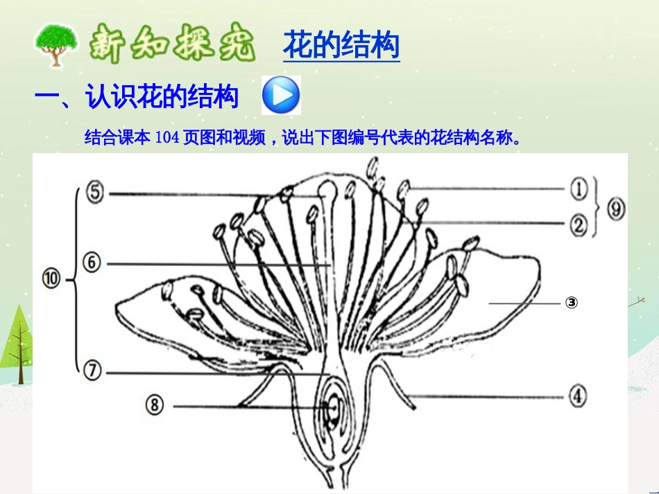 八年级物理上册 1.3《活动降落伞比赛》课件 （新版）教科版 (208)_第3页