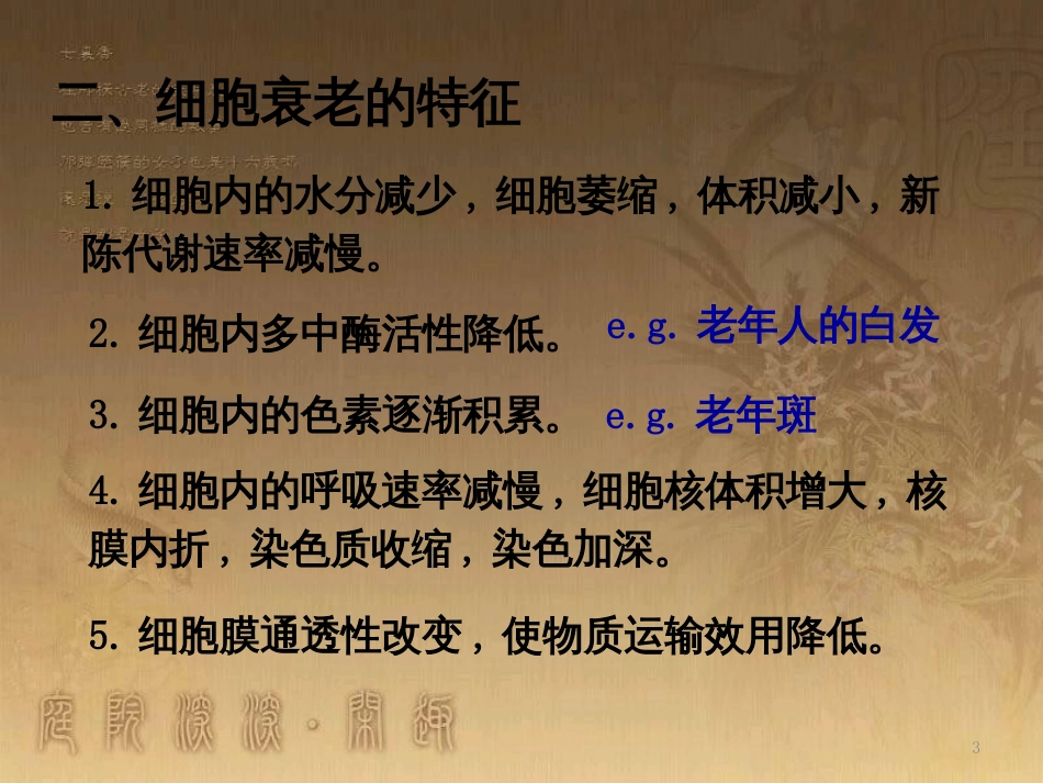 高中生物 6.3 细胞的衰老、凋亡和癌变课件（必修1）_第3页