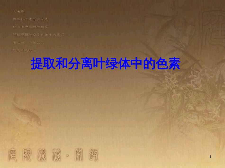 高中生物 5.4 色素提取课件（必修1） (1)_第1页