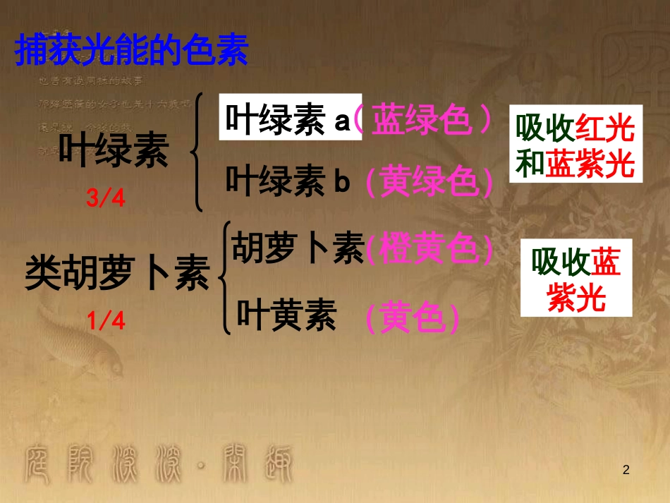 高中生物 5.4 色素提取课件（必修1） (1)_第2页