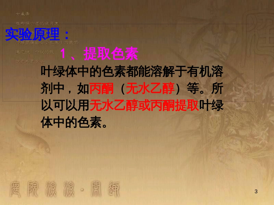 高中生物 5.4 色素提取课件（必修1） (1)_第3页