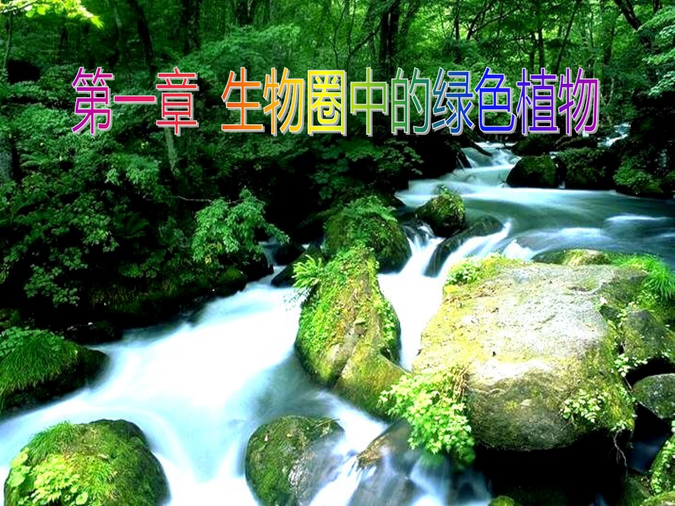 八年级物理上册 1.3《活动降落伞比赛》课件 （新版）教科版 (221)_第1页
