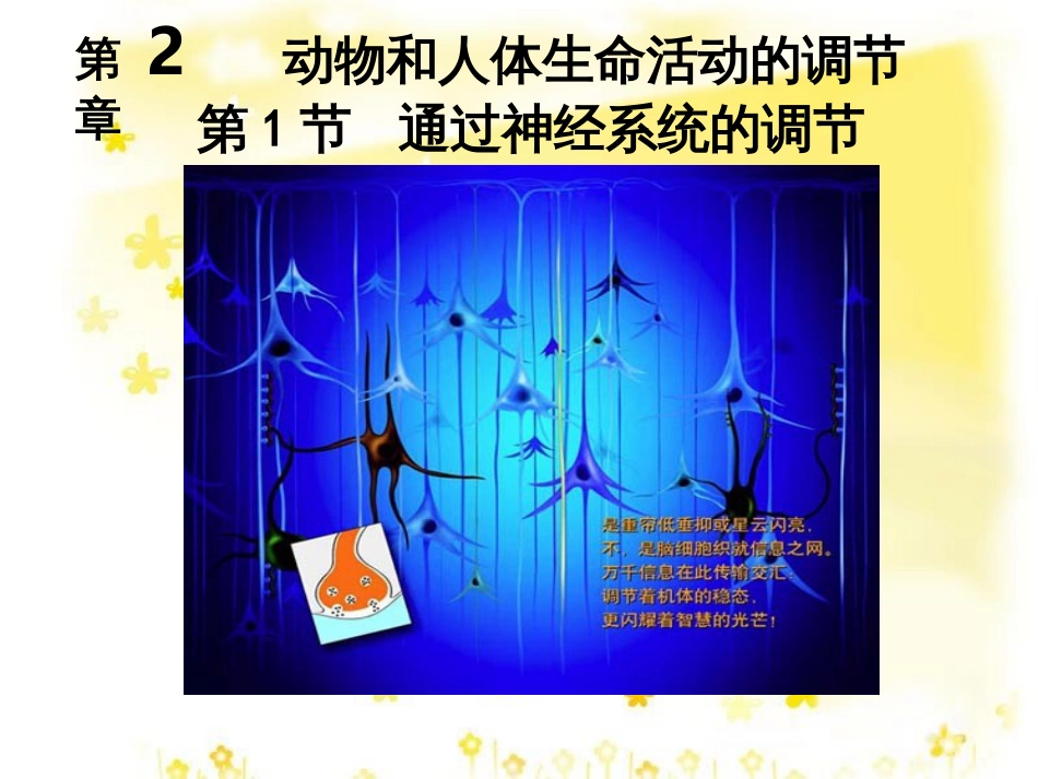 高中生物 第二章 动物和人体生命活动的调节 2.1 通过神经系统的调节同步教学课件 新人教版必修3_第1页