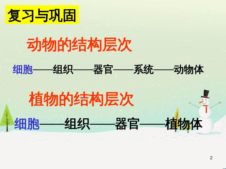 八年级物理上册 1.3《活动降落伞比赛》课件 （新版）教科版 (235)_第2页