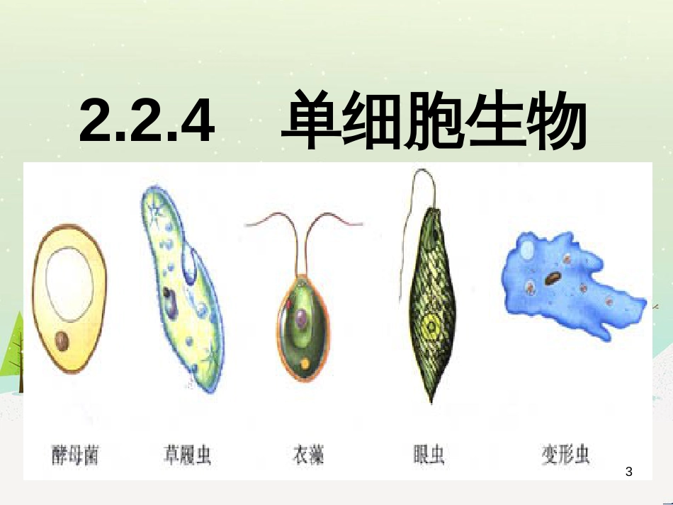 八年级物理上册 1.3《活动降落伞比赛》课件 （新版）教科版 (235)_第3页