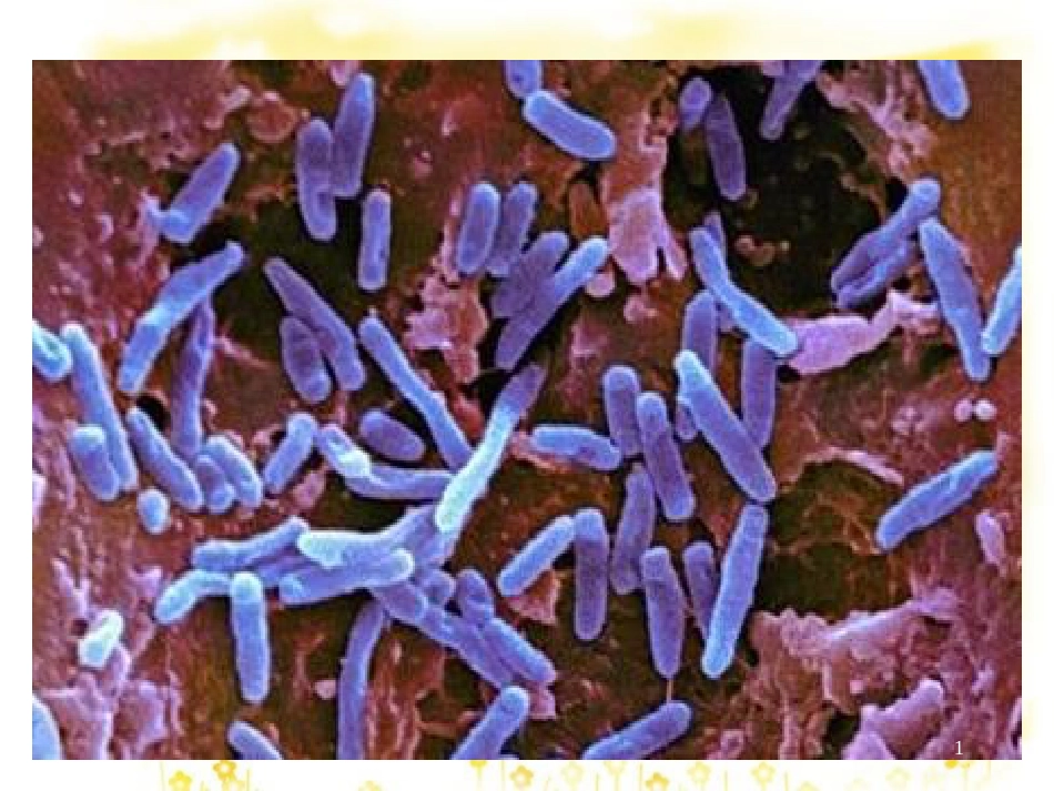 高中生物 第3章 生物科学与工业 3.1 微生物发酵及其应用课件 新人教版选修2_第1页