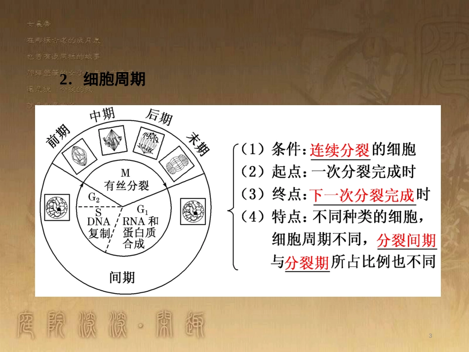 高考生物一轮复习 第二单元 基因的本质与表达 第1讲 DNA是主要的遗传物质课件（必修2） (26)_第3页