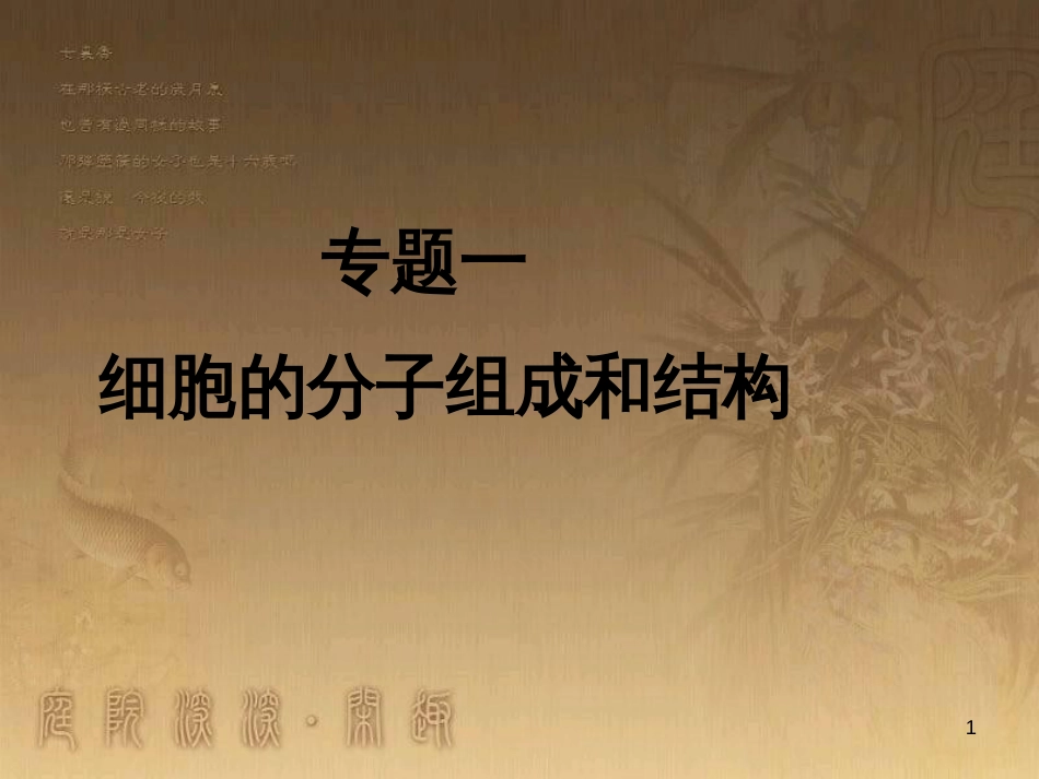 高三生物二轮复习 实验设计题的解题策略课件 (2)_第1页