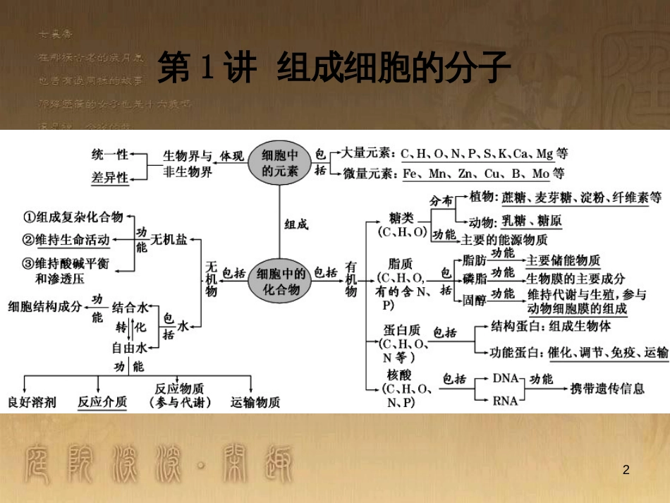 高三生物二轮复习 实验设计题的解题策略课件 (2)_第2页
